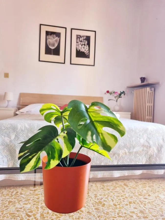 Bed & Breakfast Prime Guest House Pisa
